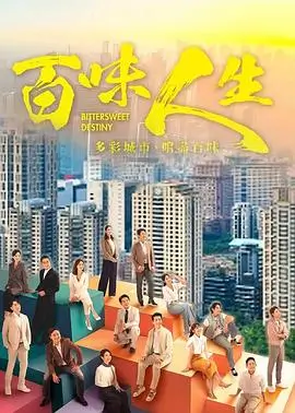 赘婿风云 电视剧海报